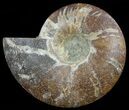 Cut Ammonite Fossil (Half) - Agatized #60289-1
